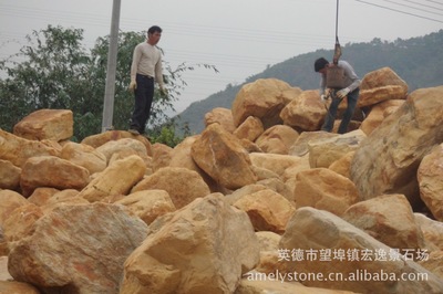 华南最大石材市场 批发大量黄蜡石 黄腊石 黄水石 吨位石 太湖石图片24